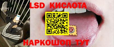 apvp Канаш