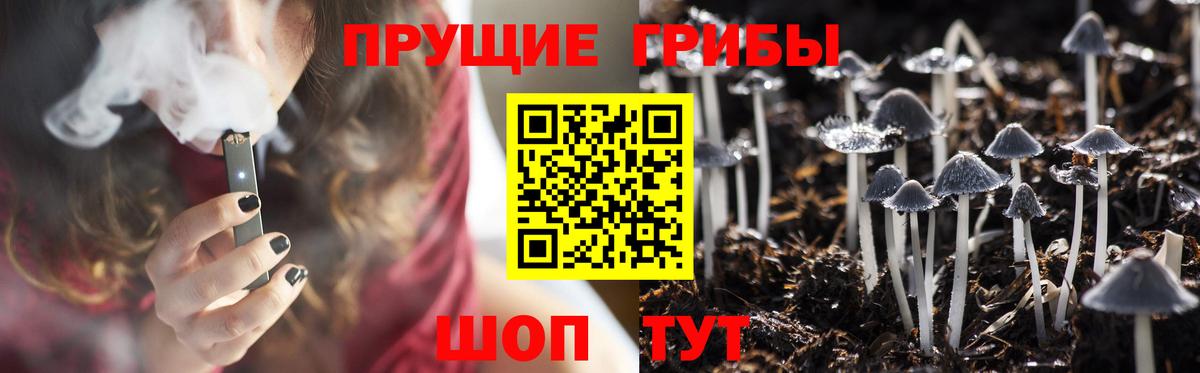 Псилоцибиновые грибы мицелий Карасук