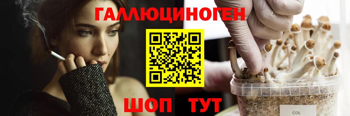 Галлюциногенные грибы мицелий  Вход с VPN  Псилоцибиновые грибы Psilocybine cubensis  Карасук 
